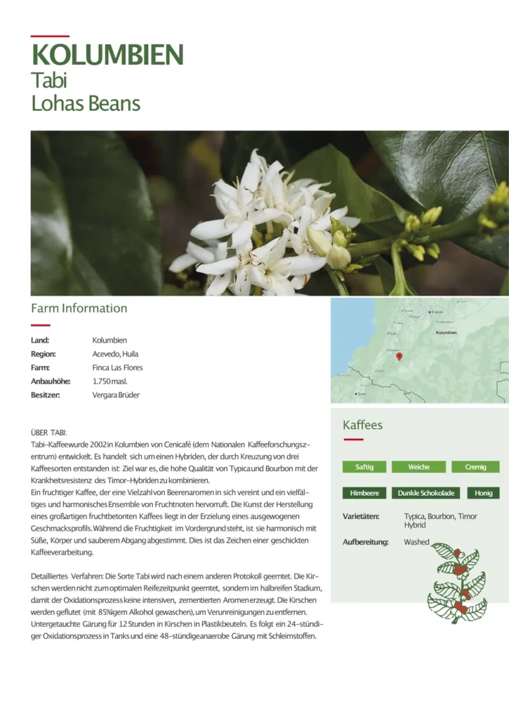 Finca los Flores, helle Röstung – Bild 2